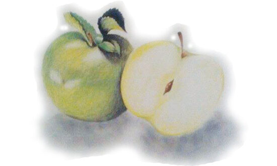 Nature morte réaliste